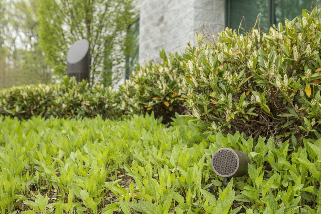 Multiple outdoor audio speakers hidden in landscape
