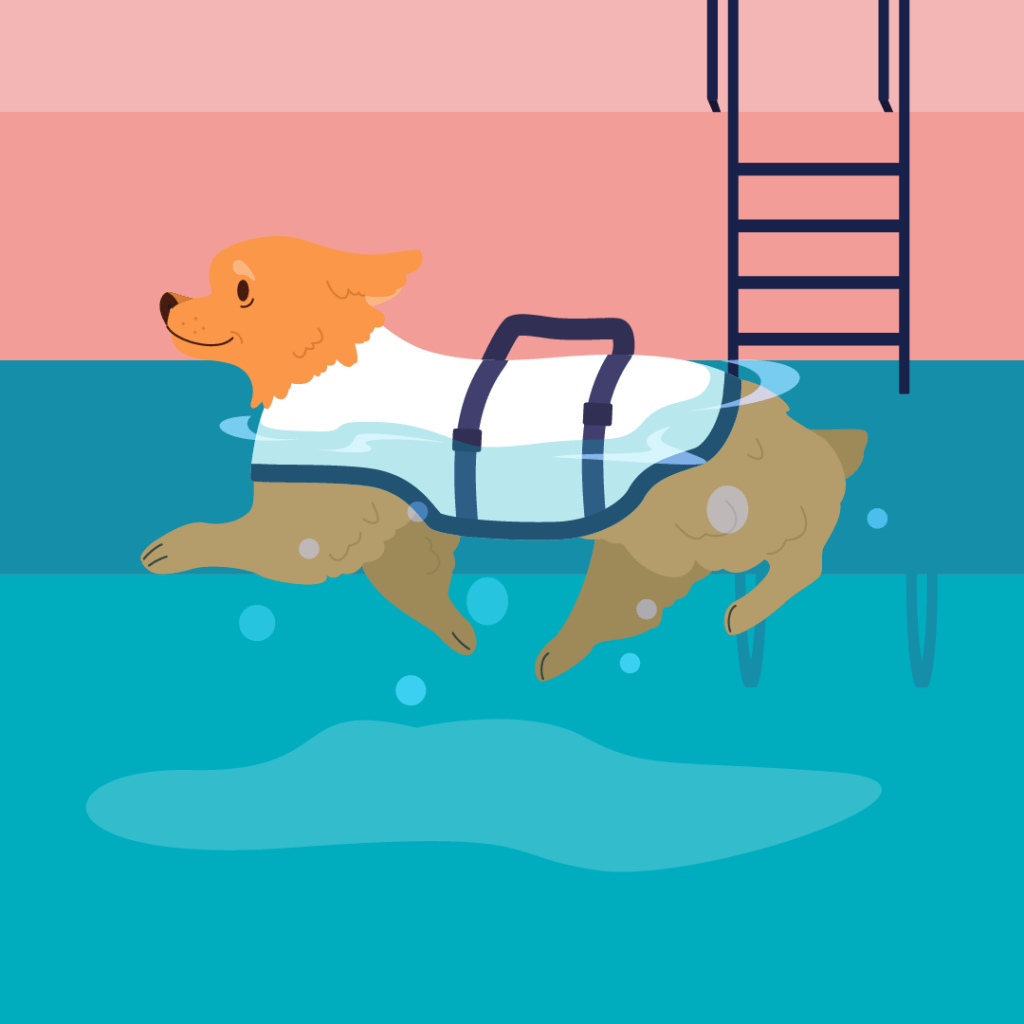 graphic of a dog swimming in a pool wearing a life vest