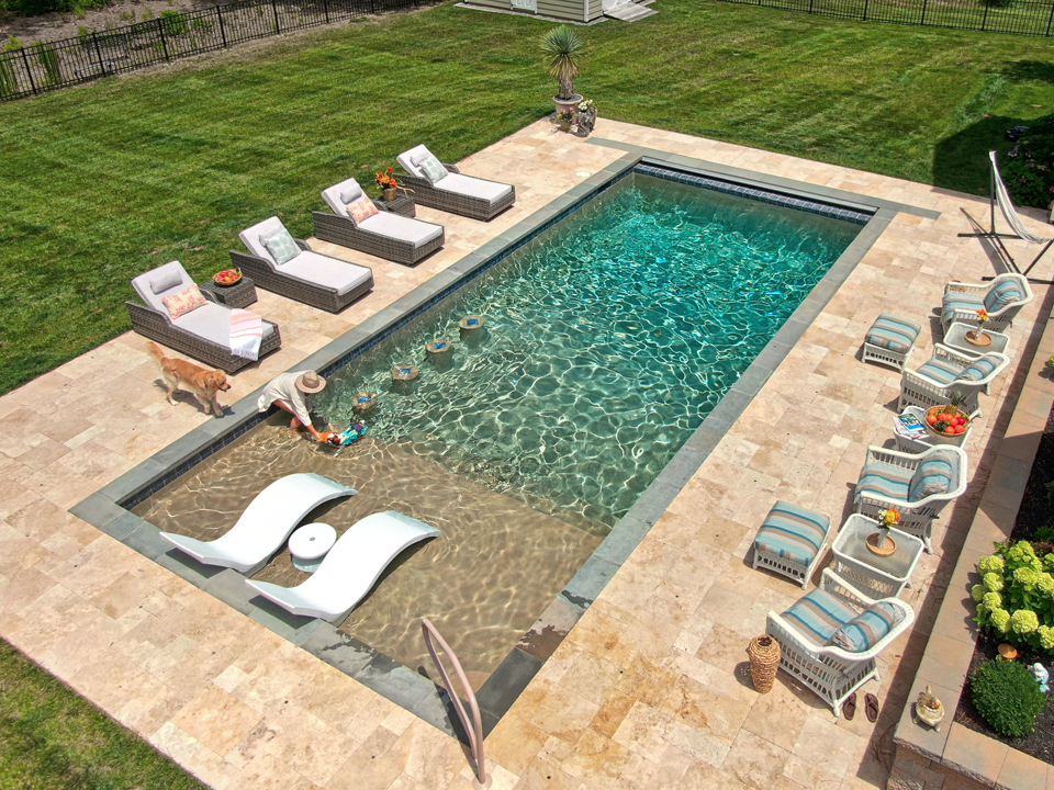 aerial view of a luxury pool with a tanning ledge with dogs playing in the water and on the tanning ledge
