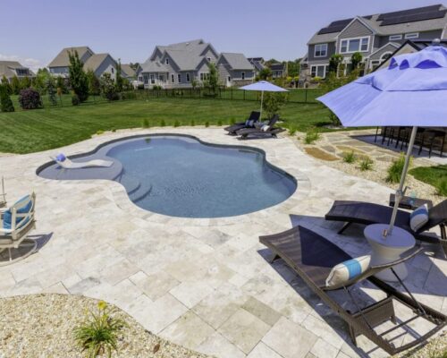 Freeform Custom Backyard Pool